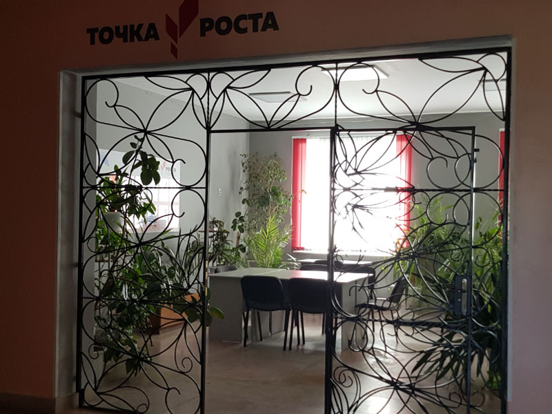 Точка роста